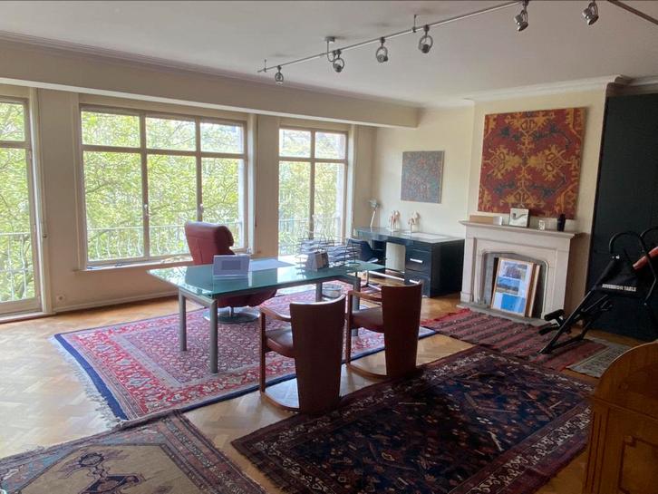 Cabinet médical, appartement profession libérale Louise, Immo, Appartementen en Studio's te huur, Brussel, 50 m² of meer