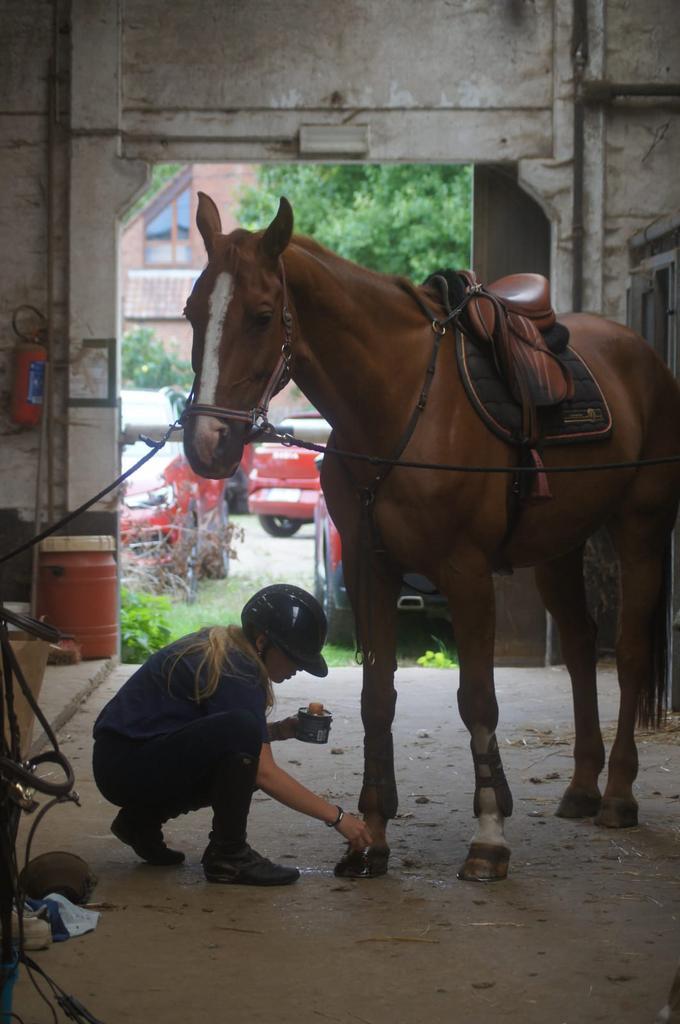 Paard zadelmak maken,doorrijden of uitbrengen op wedstrijd?, Dieren en Toebehoren, Paarden, Zadelmak