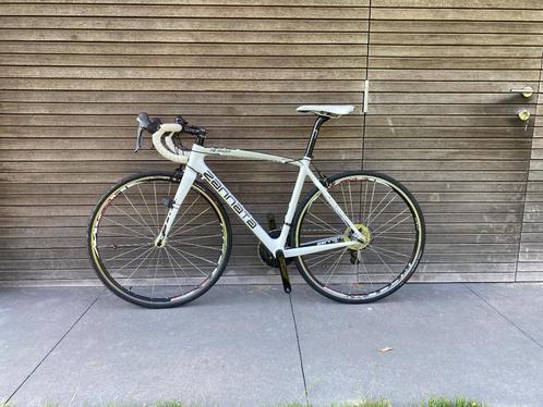 Racefiets, Fietsen en Brommers, Fietsen | Racefietsen, Carbon, 49 tot 53 cm, Ophalen