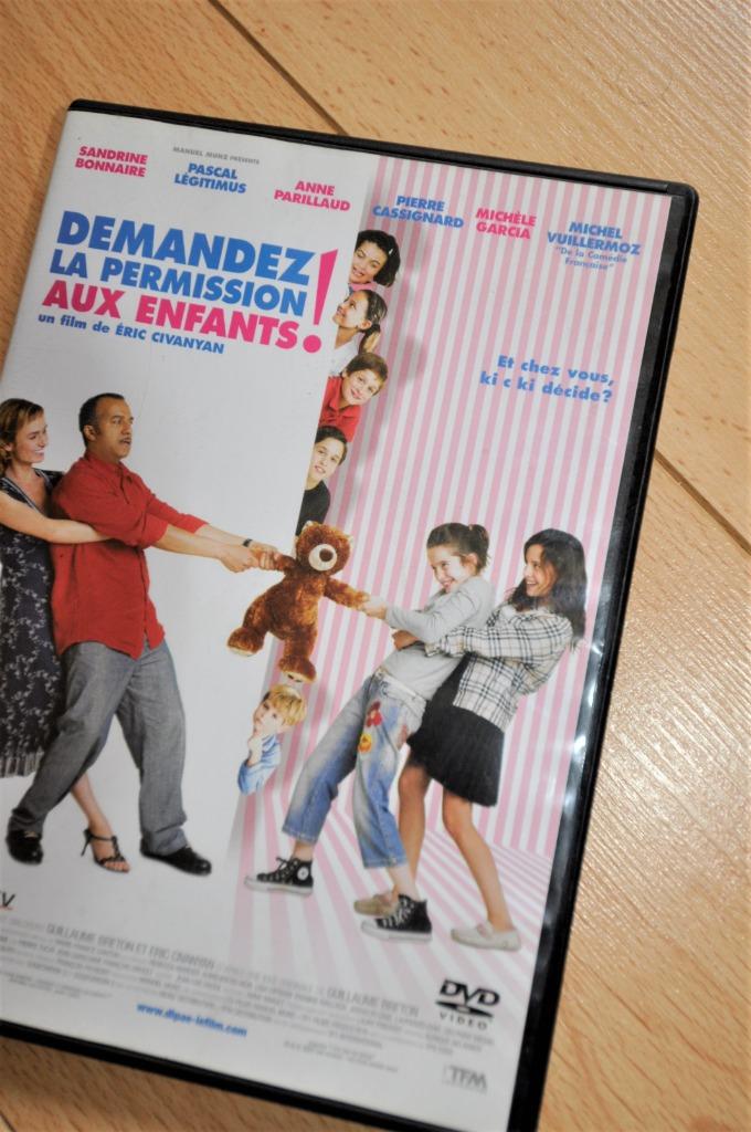 Demandez la permission aux enfants ! DVD tb état, CD & DVD, DVD | Comédie, Comme neuf, Comédie d'action, Tous les âges, Enlèvement ou Envoi