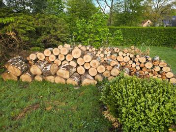Bois de chauffage (bouleaux) beschikbaar voor biedingen