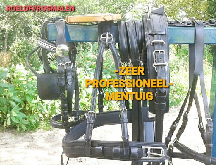 🔴NIEUW ZEER PROFESSIONEEL COB-MAAT ENKELSPAN TUIG 450.E. 🔴, Dieren en Toebehoren, Paarden en Pony's | Hoofdstellen en Tuigage