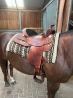 Continental western zadel westernzadel FQH 16 inch, Dieren en Toebehoren, Paarden en Pony's | Zadels, Ophalen, Gebruikt, Western