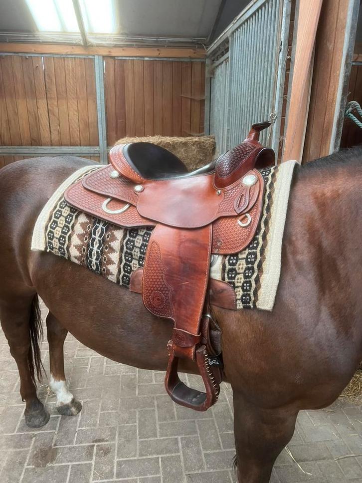 Continental western zadel westernzadel FQH 16 inch, Dieren en Toebehoren, Paarden en Pony's | Zadels, Gebruikt, Western, Ophalen