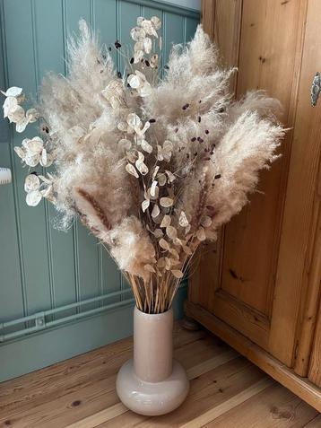 Boeket droogbloemen pimpernel, judaspenning, pampas beschikbaar voor biedingen