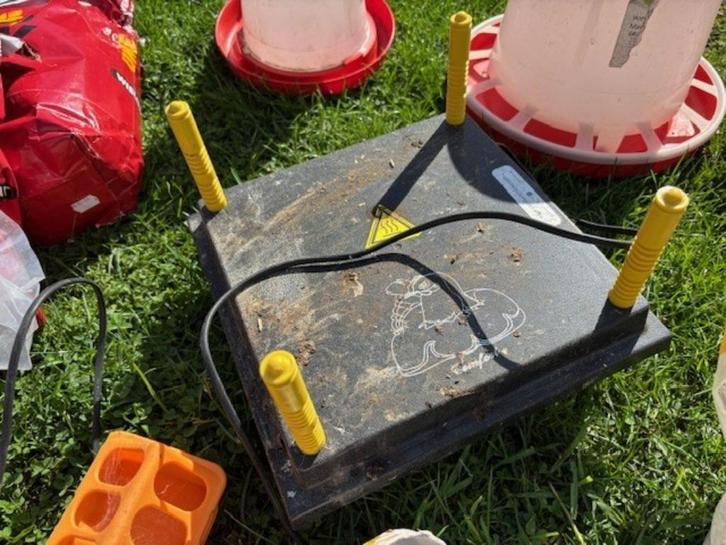 Volledige kippen uitzet, Dieren en Toebehoren, Overige Dieren-accessoires, Gebruikt, Ophalen