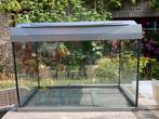 Aquarium ( tetra ), Dieren en Toebehoren, Ophalen, Gebruikt