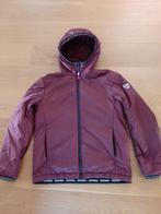 ROSSIGNOL bordeaux gewatteerd sportjack Blauw L (50), Maat 52/54 (L), Rossignol, Ophalen of Verzenden, Zo goed als nieuw