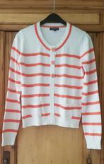 Terre bleue gilet M40, Kleding | Dames, Ophalen of Verzenden, Maat 38/40 (M)