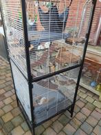 Kooi voor knaagdieren, Enlèvement