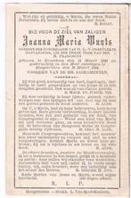 Bp. Wuyts Joanna. ° Broechem 1840 † Hoogstraten 1894, Ophalen of Verzenden, Bidprentje