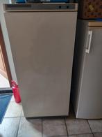 Gratis diepvries, Elektronische apparatuur, Vriezers en Diepvrieskisten, Gebruikt, 140 tot 160 cm, Ophalen, Vrieskast