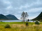 Uniek perceel bouwgrond aan fjord in LOFOTEN, Immo, Buitenland, Kavel of Perceel, Lofoten - Noorwegen, Verkoop zonder makelaar