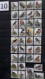 Lot de 35 timbres-poste Belgique thématique Oiseaux Buzin., Timbres & Monnaies, Timbres | Europe | Belgique, Autre, Affranchi