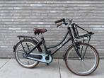 20 inch meisjesfiets alpina cargo, Fietsen en Brommers, Ophalen, Zo goed als nieuw, 20 inch