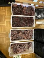 18,5kg Wildgeplukte Paarse Droge Seamoss – (Saint Lucia), Enlèvement ou Envoi