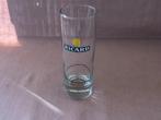 Ricard glas recht type cocktail zonnetje., Verzamelen, Ophalen of Verzenden, Zo goed als nieuw, Gebruiksvoorwerp