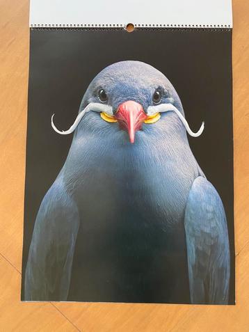 Vogelposters (9) te geef op +-A2-formaat beschikbaar voor biedingen