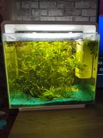 Enkele aqarium te koop, Dieren en Toebehoren, Ophalen, Zo goed als nieuw