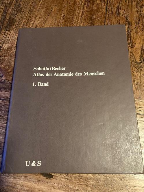 Sobotta  Boek van de botten en de spieren, Boeken, Studieboeken en Cursussen, Gelezen, Ophalen of Verzenden