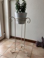 Plantenstaander met plant, Tuin en Terras, Ophalen, Zo goed als nieuw