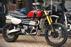 TRIUMPH SCRAMBLER 1200 XE ***MOTOVERTE.BE***, Poignées chauffantes, Entreprise, 2 cylindres, Autre