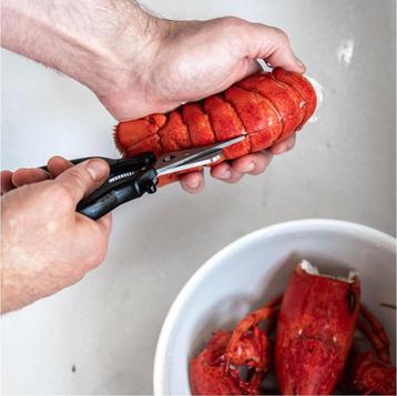 Schelp- & Schaaldieren set 6-delig | Nieuw De Buyer beschikbaar voor biedingen