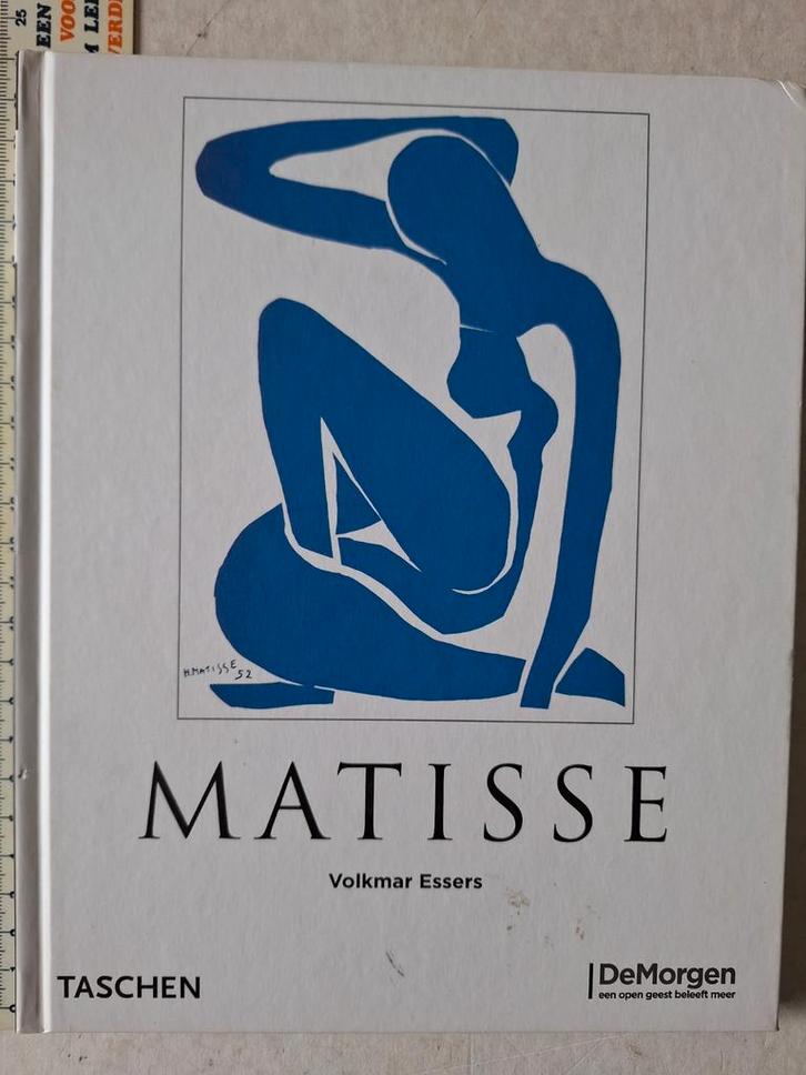 Kunstboek Henri Matisse Meester van de kleur uit 2007, Boeken, Kunst en Cultuur | Beeldend, Zo goed als nieuw, Ophalen of Verzenden