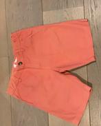 American Outfitters - baksteenrode short - 14 jaar, Ophalen, Zo goed als nieuw, Jongen, Broek