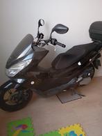Honda pcx 125cc, Motoren, Motoren | Honda, Particulier