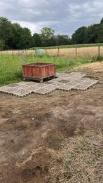 Weide te huur, Dieren en Toebehoren, Stalling en Weidegang, Weidegang, 1 paard of pony