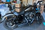 HD Iron 883 a2 2020 in Nieuwstaat, Motos, Motos | Harley-Davidson, 883 cm³, Particulier, 2 cylindres, Plus de 35 kW