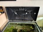 60 L aqarium, Ophalen, Gebruikt, Gevuld zoetwateraquarium