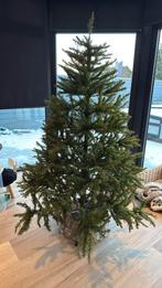 Kerstboom, Enlèvement, Utilisé, Intérieur