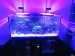 AQUARIUM, Dieren en Toebehoren, Vissen | Aquaria en Toebehoren, Ophalen, Gebruikt, Gevuld zeewateraquarium