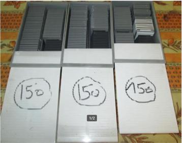 150 Oude Dia's - Uitstappen en Familie - 2002-2004 beschikbaar voor biedingen