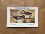 Vogels der Belgische Fauna Nr. 230 Wintertaling, Ophalen of Verzenden, Ongelopen, Vogel