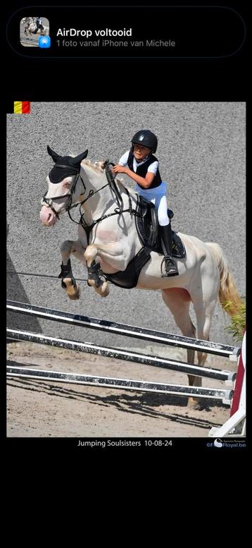 Brave kinderpony 16 jaar beschikbaar voor biedingen