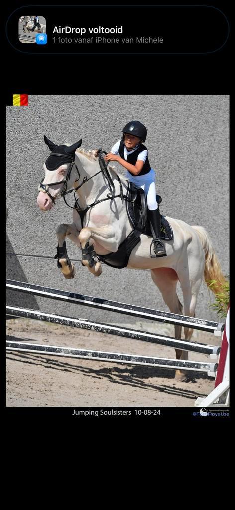 Brave kinderpony 16 jaar, Dieren en Toebehoren, Pony's, Ontwormd