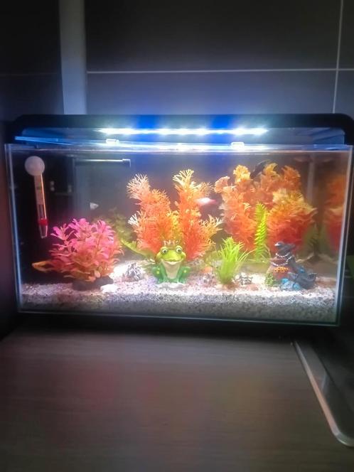 Aquarium, Dieren en Toebehoren, Vissen | Aquaria en Toebehoren, Nieuw, Leeg aquarium, Ophalen