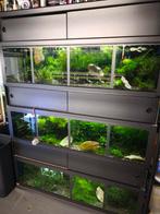 Aquarium stelling 130 cm, Dieren en Toebehoren, Vissen | Aquaria en Toebehoren, Ophalen, Zo goed als nieuw