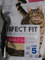 kattenbrokken, Ophalen of Verzenden, Kat