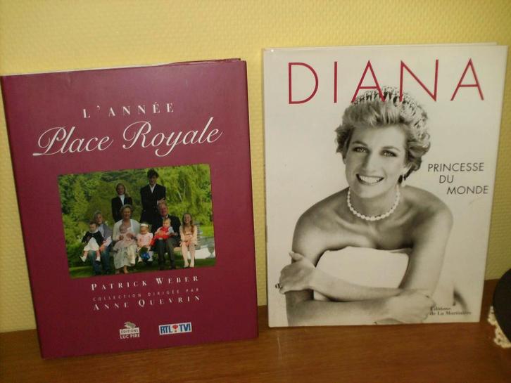 a vendre livre place royal, Boeken, Geschiedenis | Wereld, Zo goed als nieuw, Ophalen of Verzenden