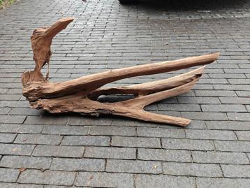 Mangrove hout xxl beschikbaar voor biedingen