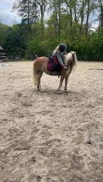 LEASE PONY/ HALVE STAL GEZOCHT!!