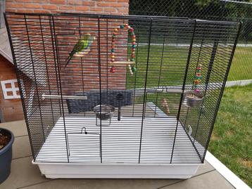 2 grasparkieten met kooi, Dieren en Toebehoren