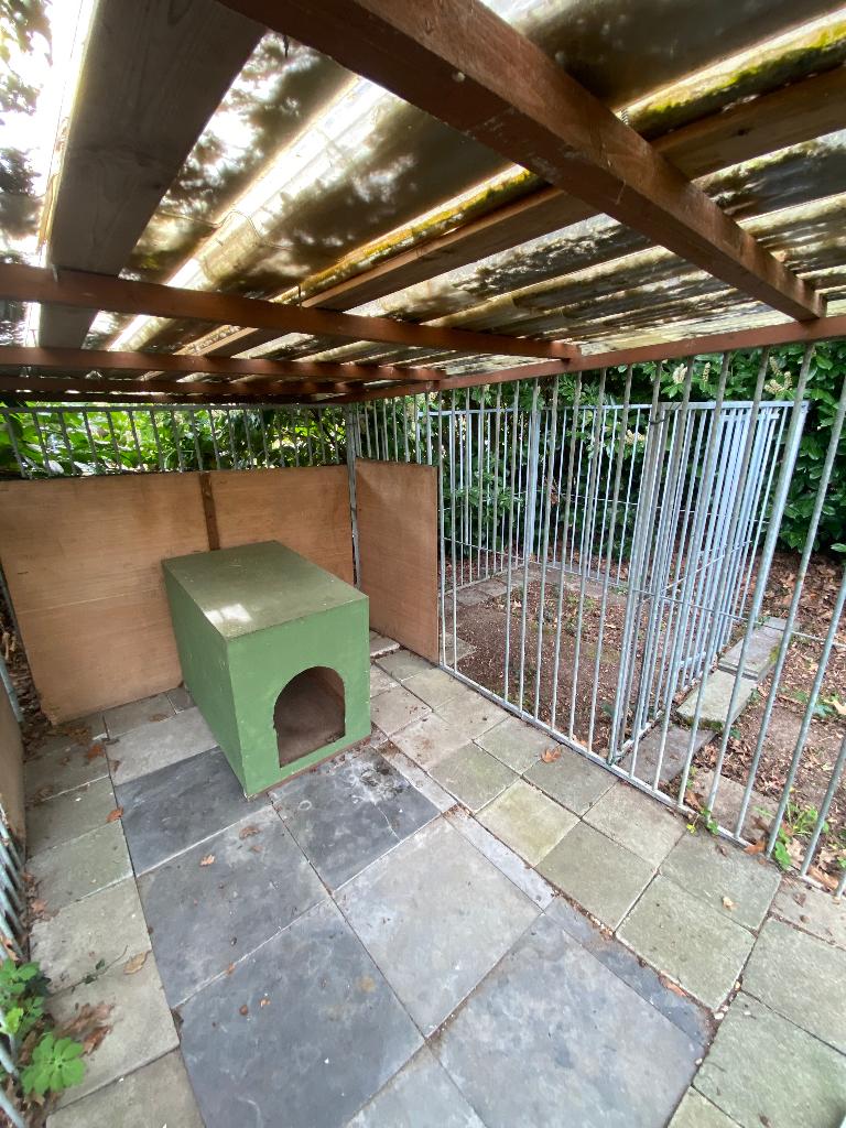 Hondenren te koop, Dieren en Toebehoren, Hondenhokken, Gebruikt, Hondenhok, 100 cm of meer, 110 cm of meer, Ophalen