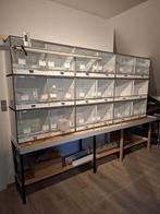 Kunststof kweekkooien, Dieren en Toebehoren, Ophalen, Nieuw, Kunststof