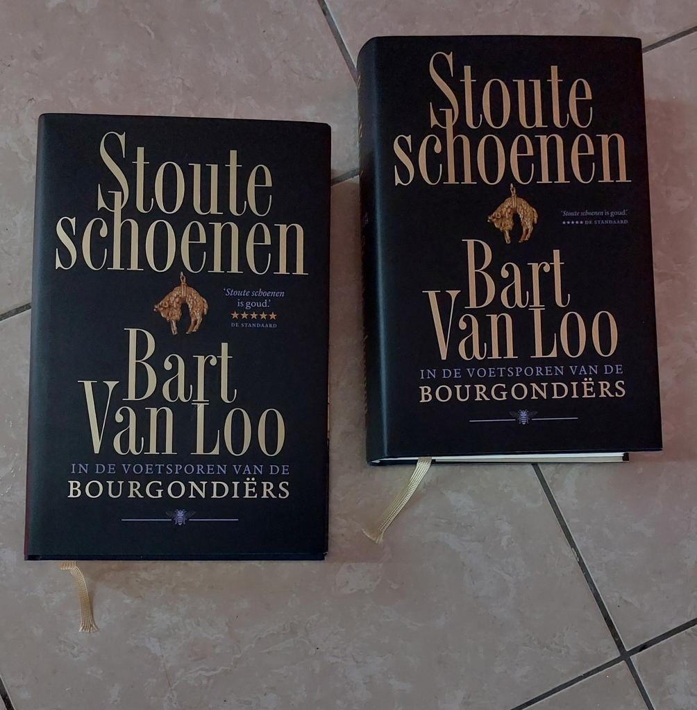 Bart van Loo - Stoute schoenen (2 exemplaren) - NIEUW, Boeken, Fantasy, Ophalen
