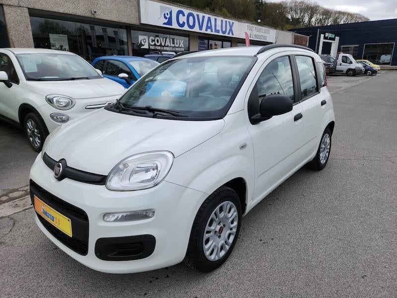 Fiat Panda euro6 avec 110.000 km garantie "Moto46", Autos, Fiat, Entreprise, Achat, Panda, ABS, Airbags, Ordinateur de bord, Electronic Stability Program (ESP)